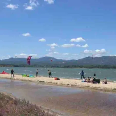 Le Colibri * La Palme